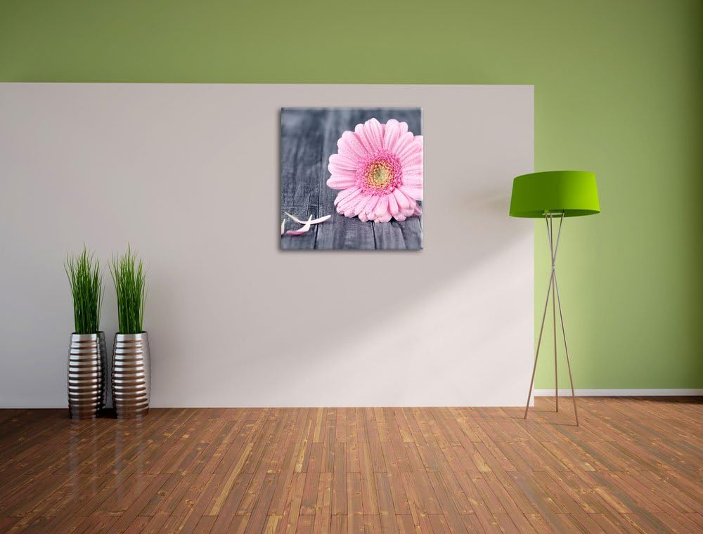 Pixxprint Pinke Gerbera auf rustikalem Boden, Format: 70x70 auf Leinwand, 70x70