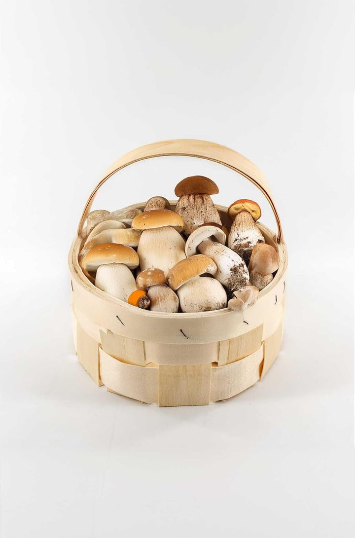 4er Set - Spankorb mit Henkel - rund, Erntekorb, Obstkorb, Geschenkkorb, Dekokorb, gross, 22cm Durch