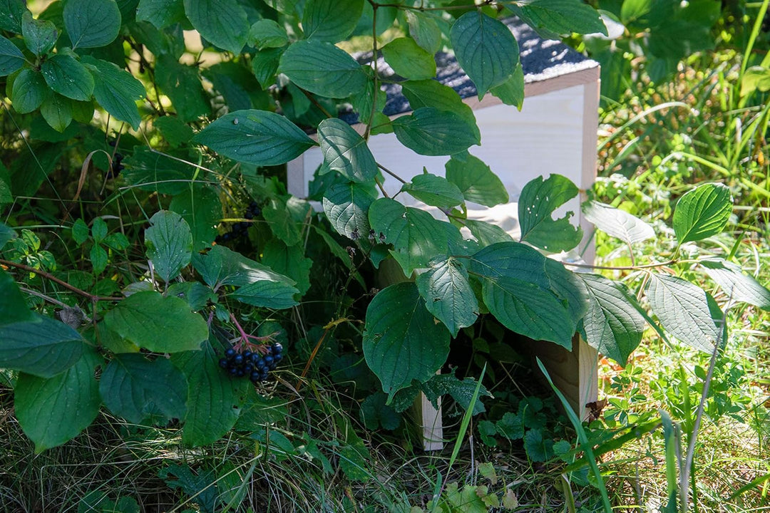 dobar® 22227FSCe Igelhaus Bitumendach Bausatz - Igelschafhaus extra Langer Eingang - Igelhöhle Massi