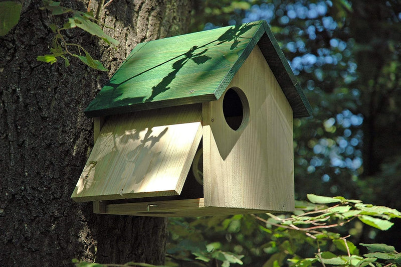 dobar® 22221 Eichhörnchenkobel - Eichhörnchenhaus aus Massivholz - Futterhaus für Eichhörnchen - Eic