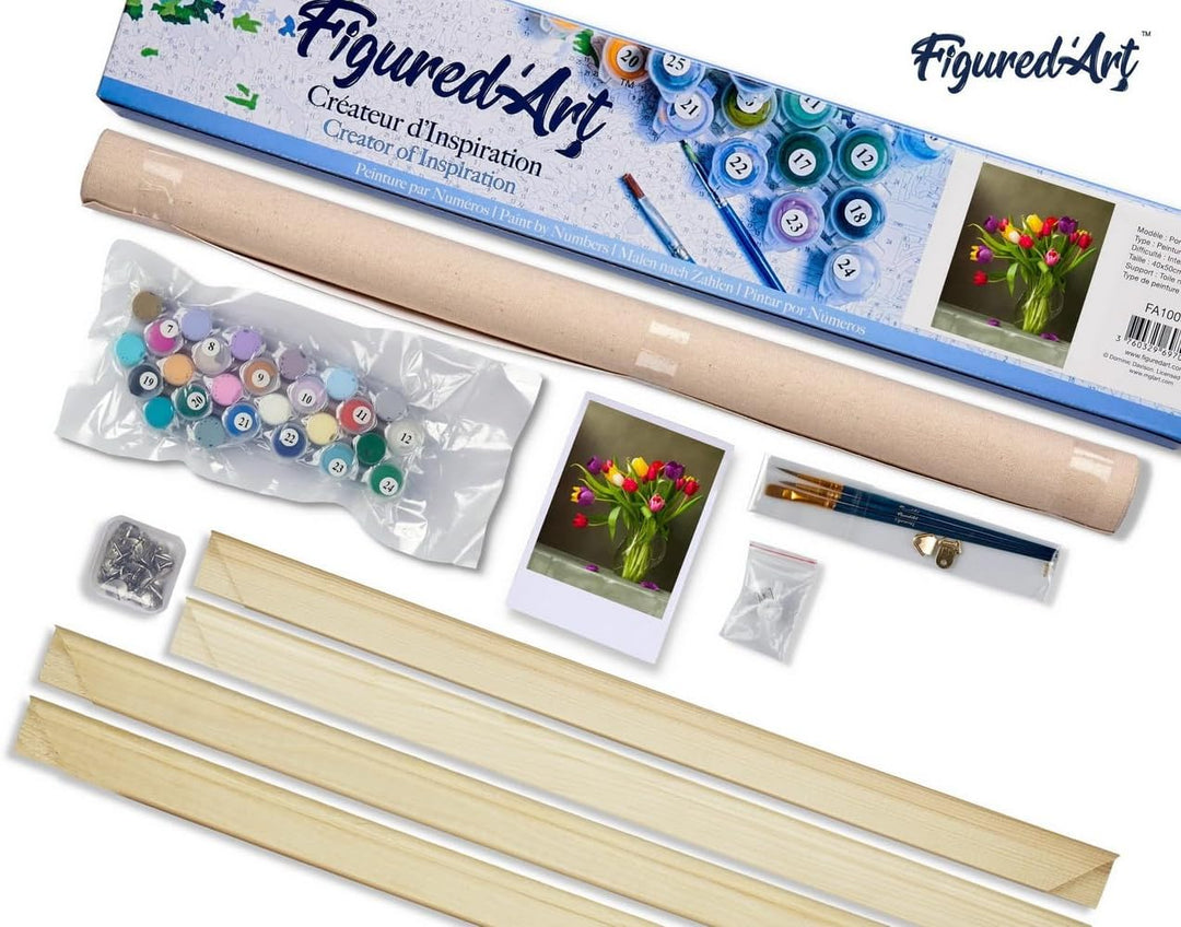 Figured'Art Malen Nach Zahlen Erwachsene Mit Rahmen Bunte Tulpen - Paint by Numbers Basteln DIY Bast