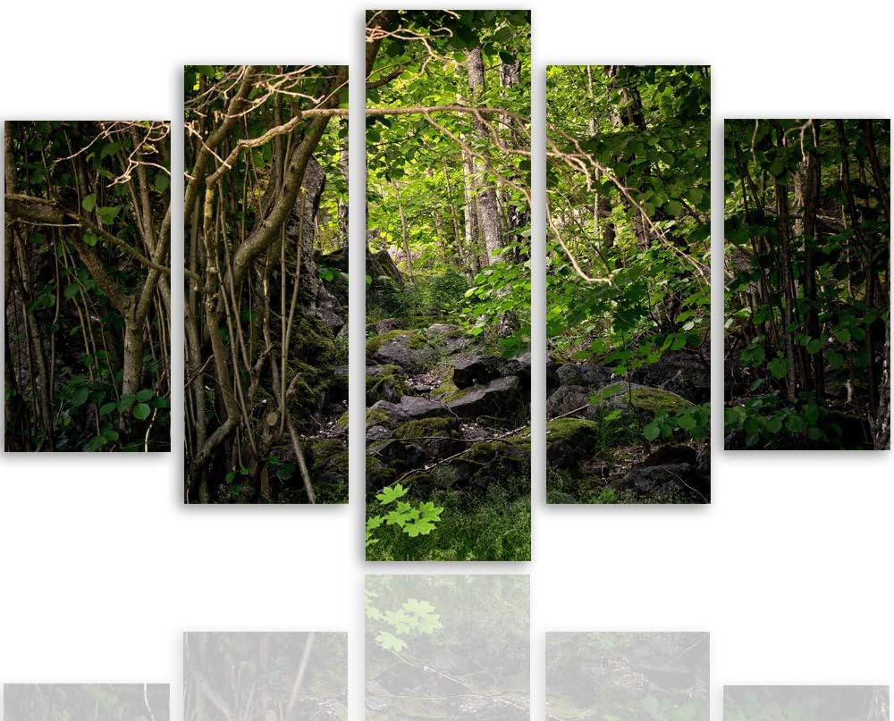 Feeby Wandbild XXL 5 Teilig Natur Leinwandbild Wald Bäume Landschaft grün 300x140 cm Leinwandbild 30