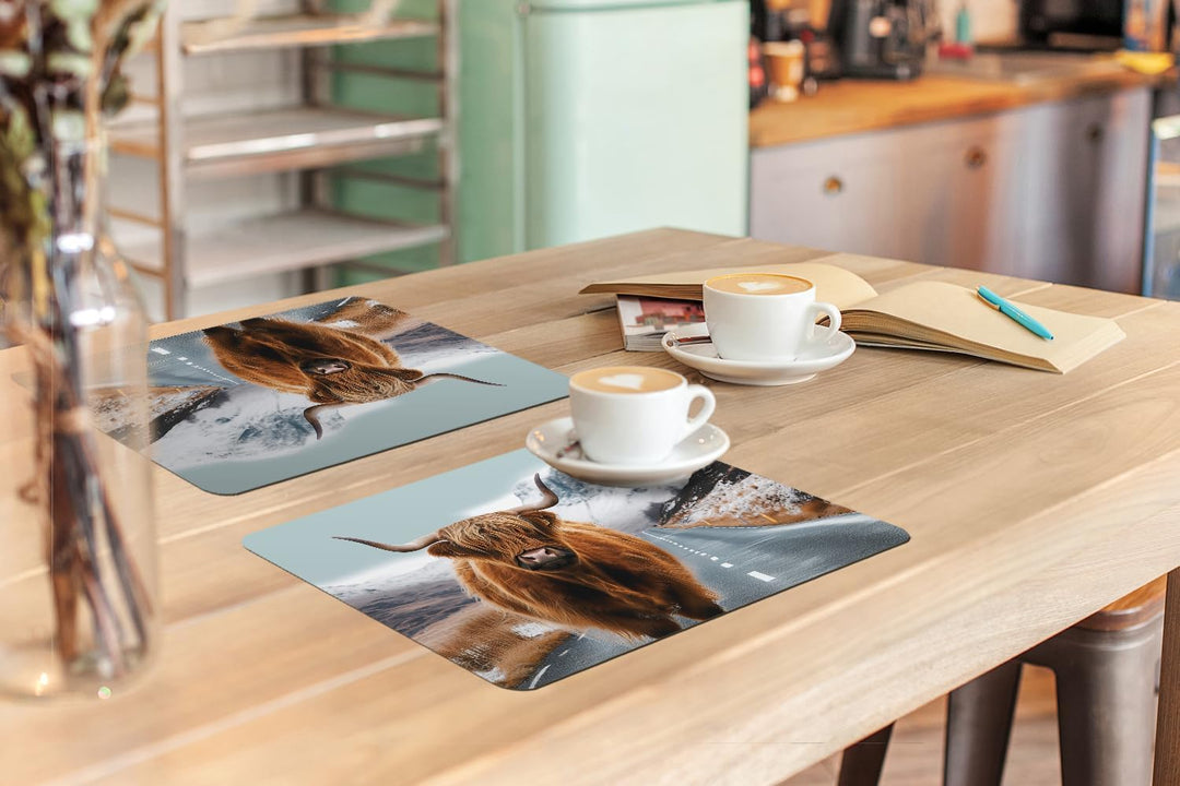 KitchenYeah© Platzsets Abwaschbar 6-Teilig 45x30 cm Tischsets Platzdeckchen Platzset Unterlage Tisch