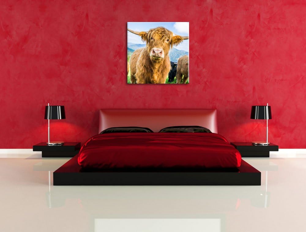 Pixxprint Niedlicher Blick Einer Kuh an der Weide, Format: 70x70 auf Leinwand, 70x70