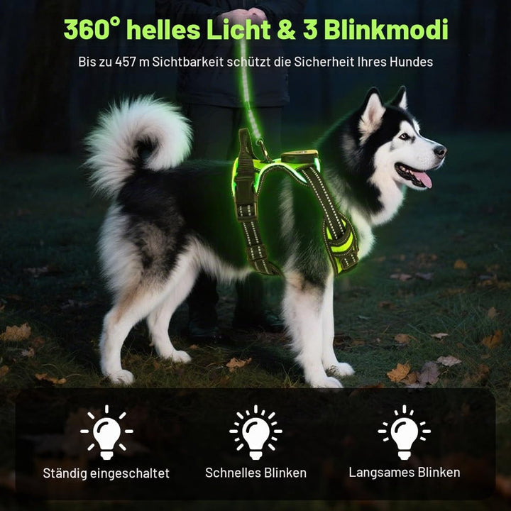 AUAUY Hundegeschirr Leuchtend, Einstellbar Leuchtgeschirr LED Aufladbar Reflektierendes, 3 Modi Atmu
