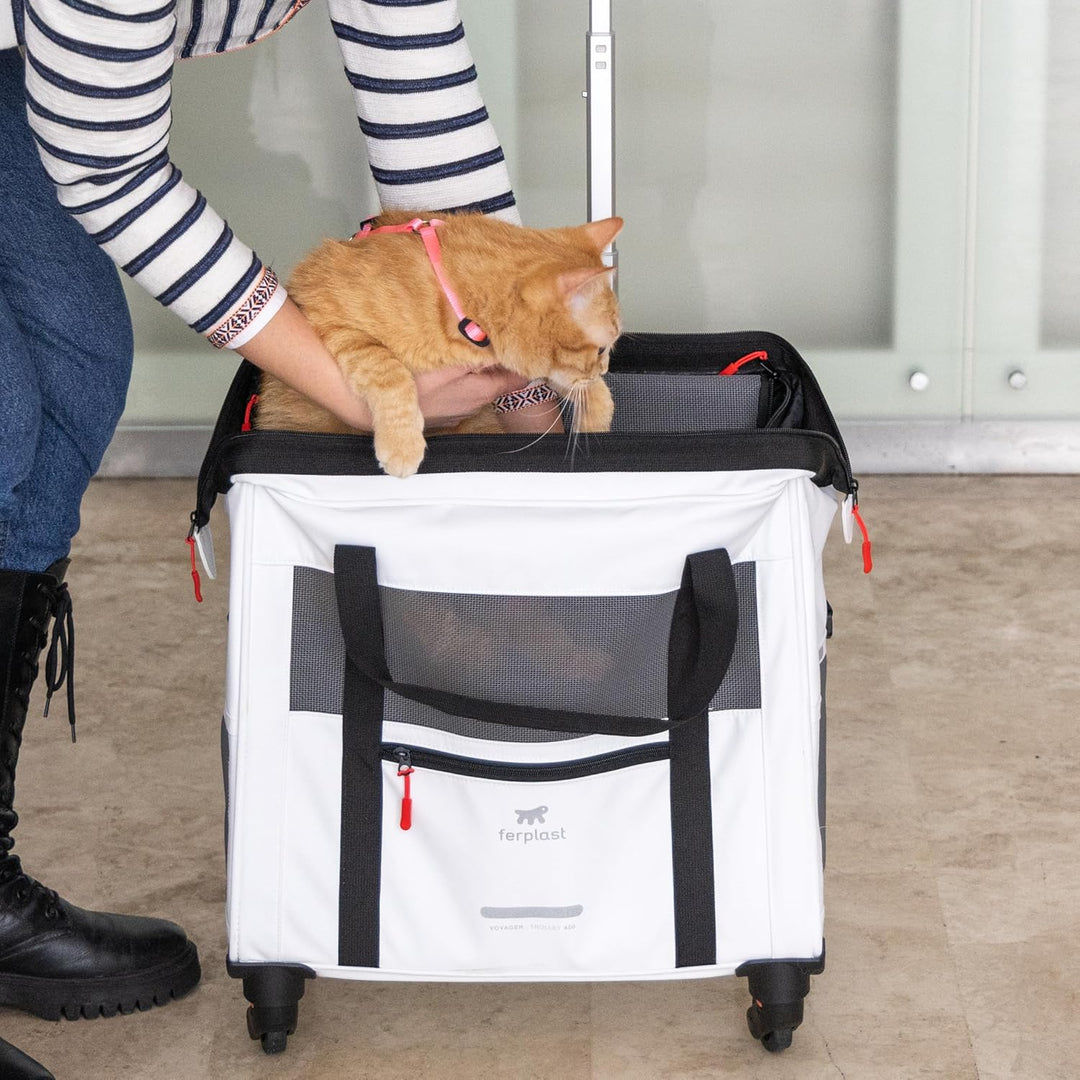 Ferplast Hundebox Voyager Trolley, Transportbox Katze, Hundetasche, ausziehbarer Griff, verstellbare