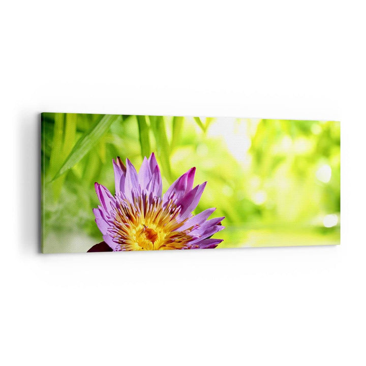 Wandbilder Dekoration Wohnzimmer Asien spa bambus blume Panorama Bilder auf Leinwand 120x50cm Leinwa