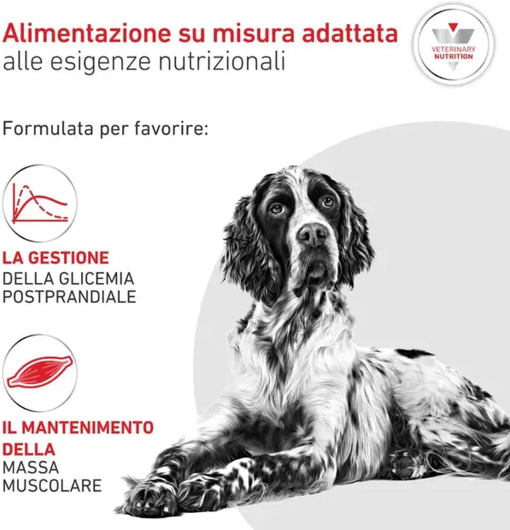 Royal Canin Diabetic 12 kg Adult