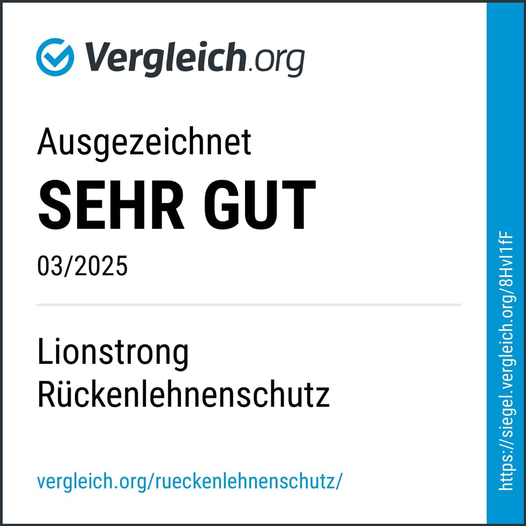 LIONSTRONG® Auto Organizer Kinder Rücksitz schwarz [WASSERDICHT] - Rückenlehnenschutz Auto Kinder un
