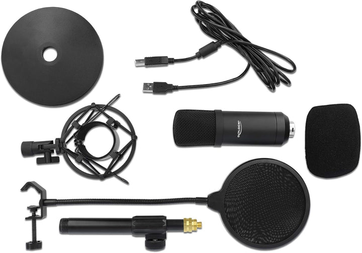 Delock Professionelles USB-Kondensator Mikrofon Set 192 kHz / 24 Bit für Podcasting und Gaming, 6630