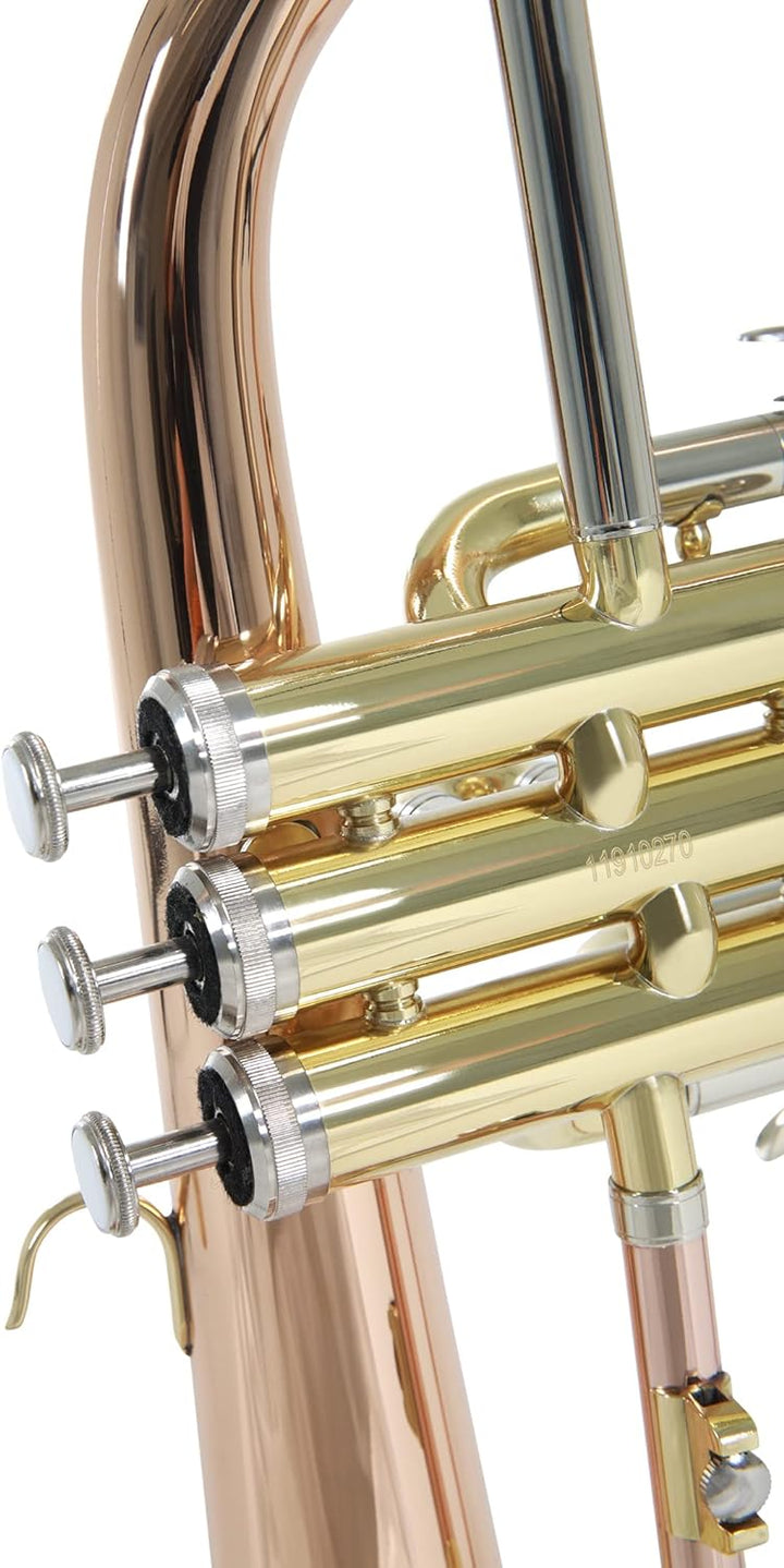 Roy Benson Bb Flügelhorn MOD.FH-302G Goldmessing Schall, inkl. Etui, FH-302G