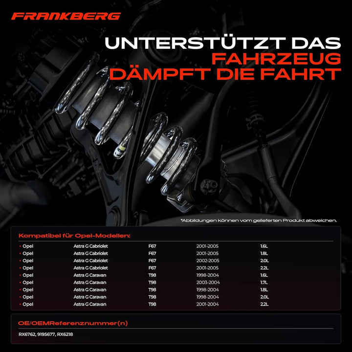 Frankberg 2x Federn Fahrwerksfeder Hinterachse Kompatibel mit Astra G Cabriolet F67 1.6L-2.2L 2001-2