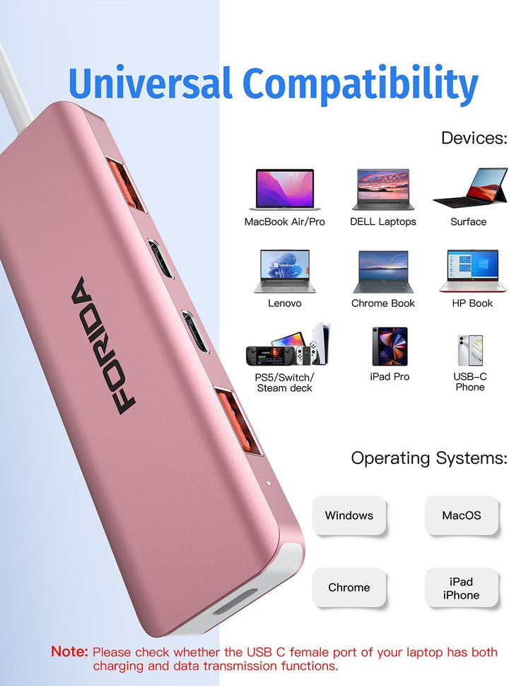 FORIDA USB C Hub, 10 Gbps USB C Splitter für Laptop, 2 Type C 3.1 und 2 USB A 3.2 Datenanschlüsse, 1