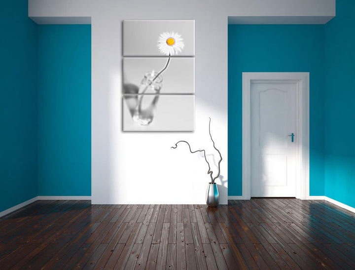zartes Gänseblümchen im stilvollen Glas schwarz/weiss Deluxe 3-Teiler Leinwandbild 120x80 Bild auf L