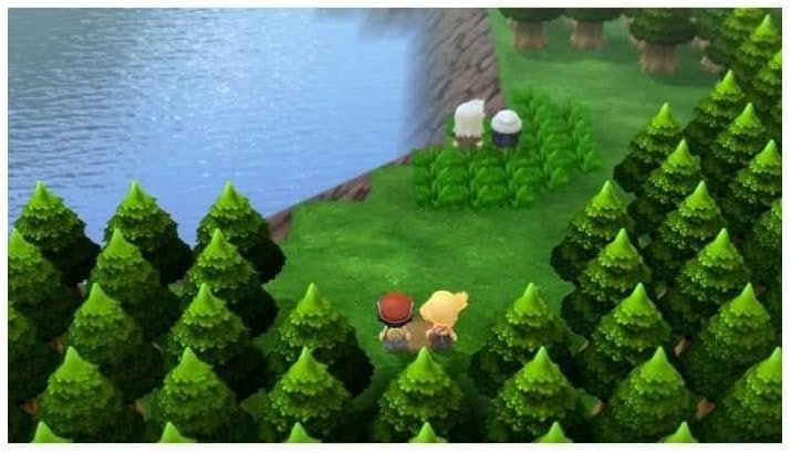 NINTENDO FRANCE SARL Pokemon, Diamant, Verzierung, Swi V