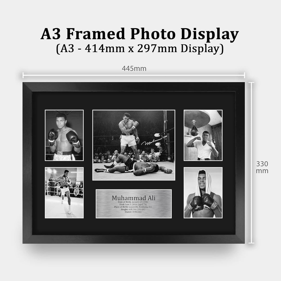 HWC Trading FR A3 Muhammad Ali Geschenke Gedrucktes Signiertes Autogrammbild Für Boxer-Erinnerungsst