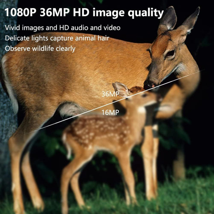 zalati Trail Kamera Wildkamera PR3000 36MP 1080P Wasserdicht IP66 Infrarot Kamera für Garten Kamera