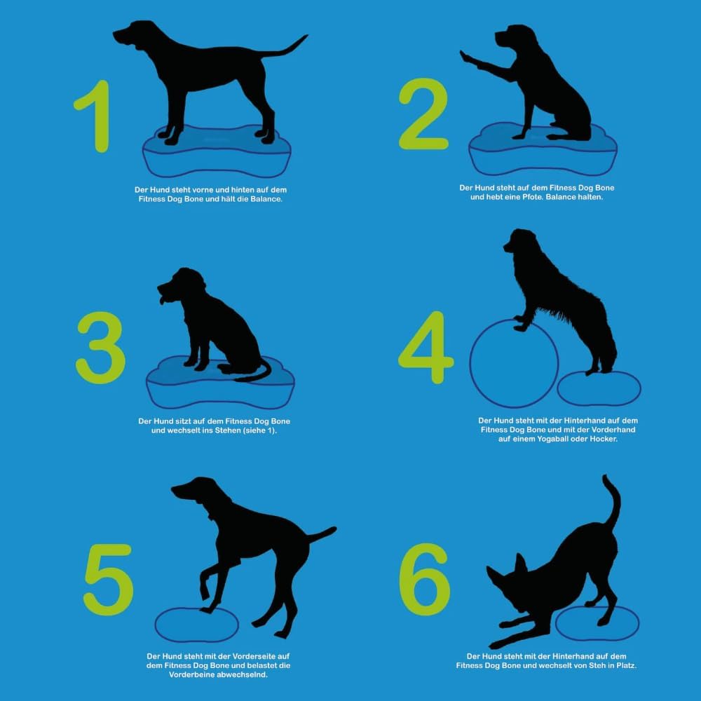 Generisch Fitness Dog Bone - Balance Pad &amp; Wackelkissen - orthopädisches Hundetraining &amp; Spiel - Tra