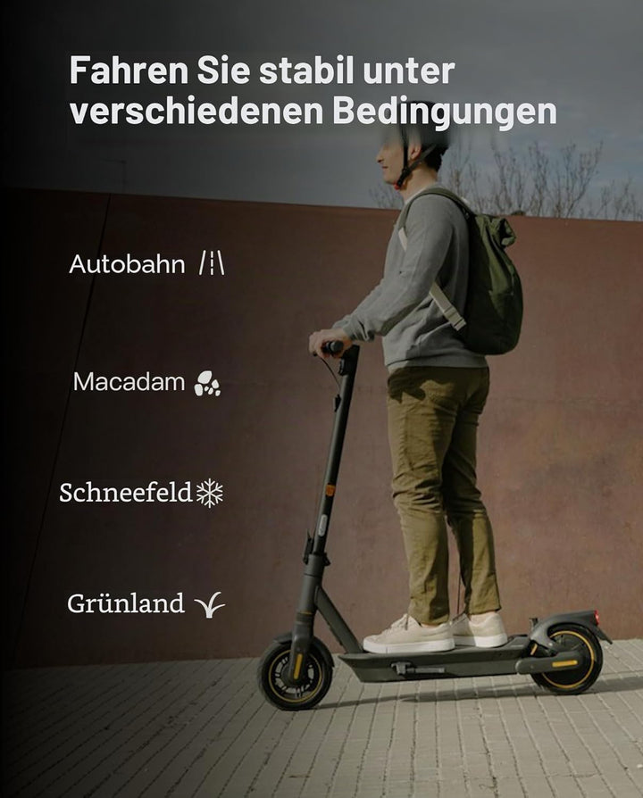 60/65-6.9 Tubeless Hinten Reifen kompatibel mit Segway Ninebot Max G2 G2D G2E G65 KickScooter, 10 Zo