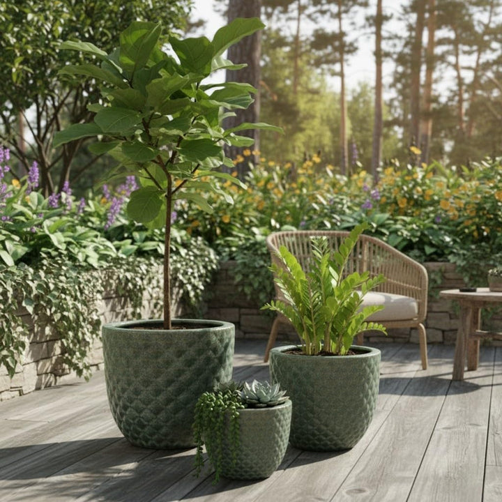 Teramico Frostfester Pflanzkübel aus Premium-Steinzeug | Glasierter Keramik-Pflanztopf in einzigarti