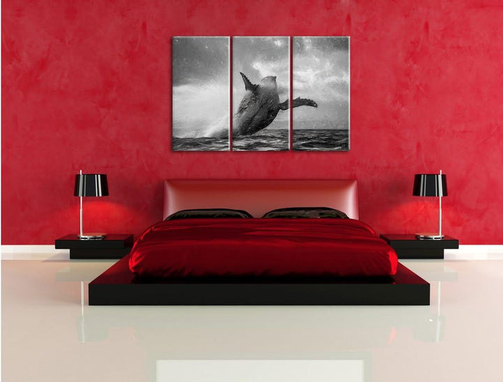 Pixxprint Buckelwale Kanada Kohle Effekt 3-Teiler Leinwandbild 120x80 Bild auf Leinwand