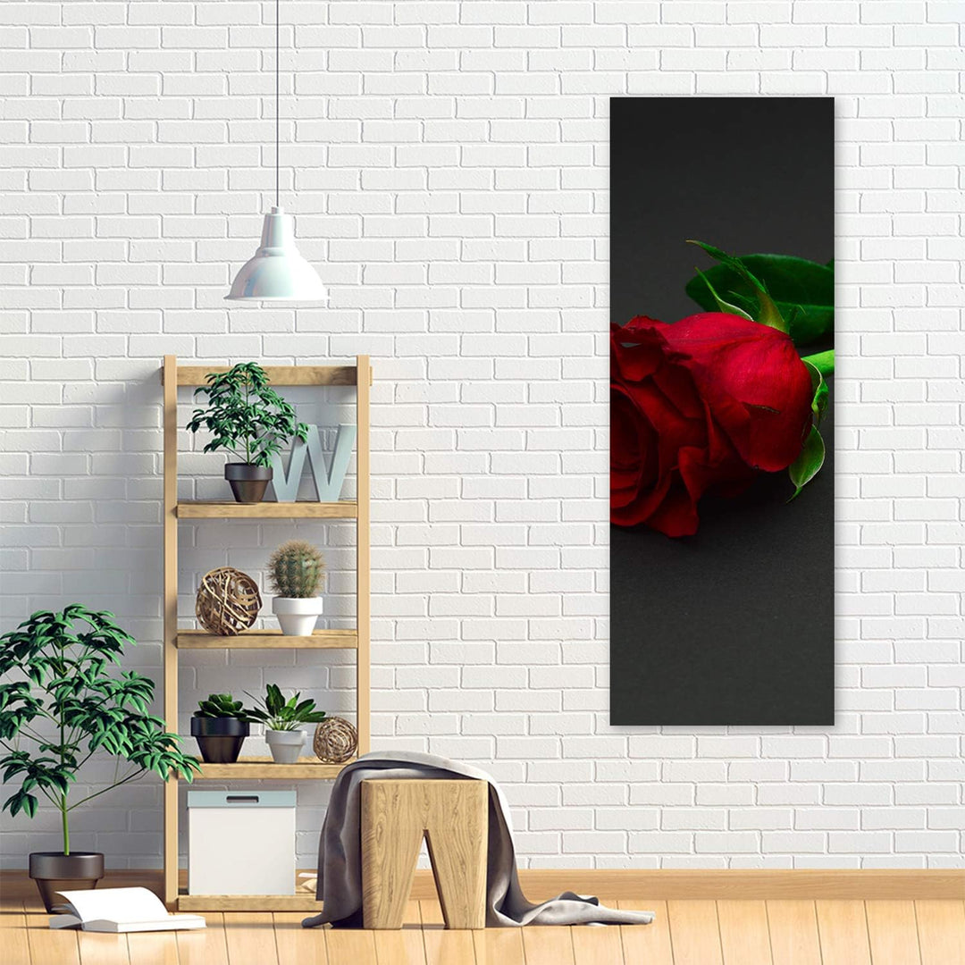 Feeby Bild auf Leinwand Rose Kunstdruck modern Blume Rot 30x90 cm Leinwandbild 30x90 cm Rot_b, Leinw
