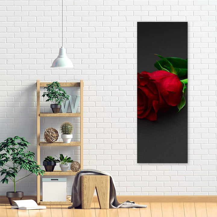 Feeby Bild auf Leinwand Rose Kunstdruck modern Blume Rot 30x90 cm Leinwandbild 30x90 cm Rot_b, Leinw