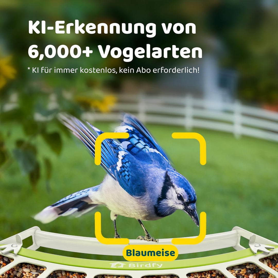 Birdfy Metall Vogelfutterhaus mit Kamera zur Live-Vogelbeobachtung, KI Vogelerkennung ohne ABO, 1080