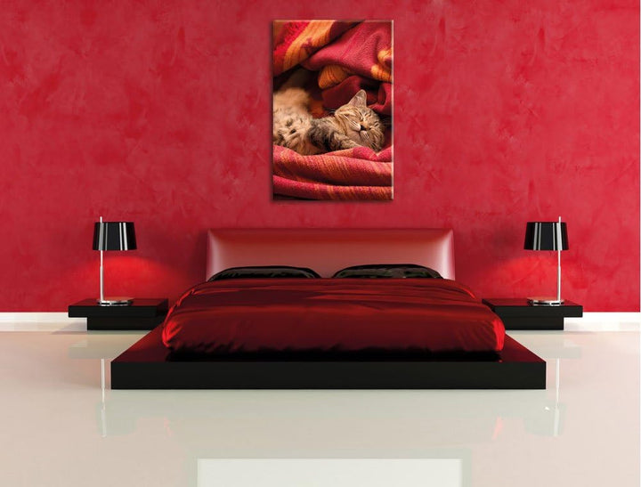 Pixxprint Babykatze, Format: 100x70 auf Leinwand, XXL riesige Bilder fertig gerahmt mit Keilrahmen,