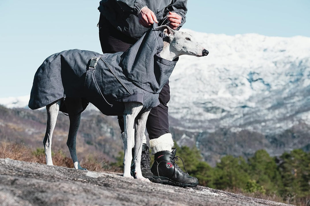 Hurtta Expedition Parka Wintermantel für Hunde, Hundemantel Warm, Blackberry Schwarz 45XS Brombeerfa