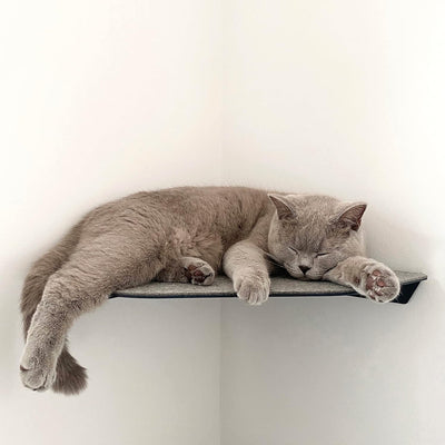 LucyBalu® CORNER Katzenliege & Kletterstufe mit Filzauflage für Wandecken | Wandliege für Katzen | K