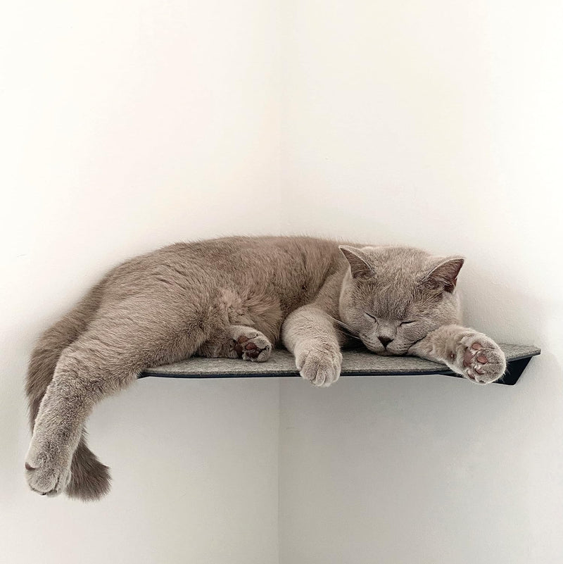 LucyBalu® CORNER Katzenliege & Kletterstufe mit Filzauflage für Wandecken | Wandliege für Katzen | K