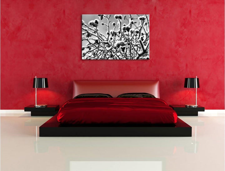 Pixxprint Hagebuttenstrauch mit / 100x70cm Leinwandbild bespannt auf Holzrahmen/Wandbild Kunstdruck