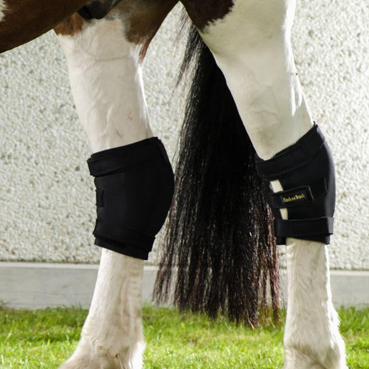 Back on Track Hock Gamasche, rechts Schwarz S, Schwarz S