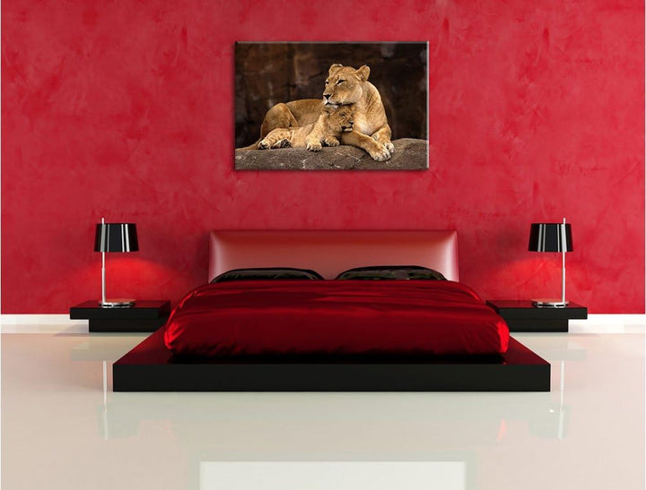 Pixxprint Löwe mit Löwenjungen als Leinwandbild/Grösse: 100x70 / Wandbild/Kunstdruck/fertig bespannt