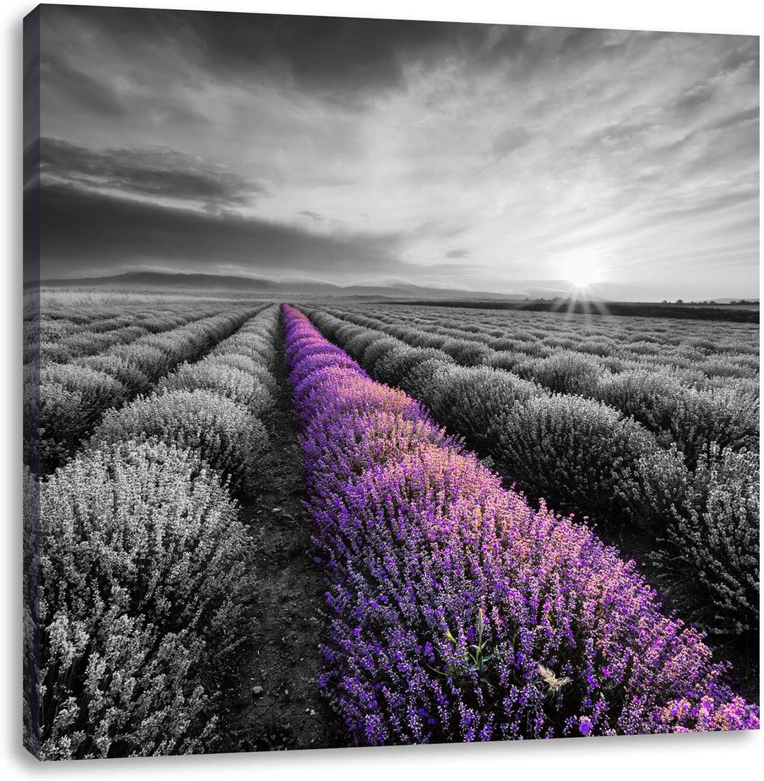 Pixxprint Lavendelfeld in der Provence als Leinwandbild Quadratisch/Grösse: 70x70 / Wandbild/Kunstdr