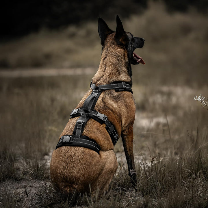 OneTigris Hundegeschirr, HOUNDLOCK Taktisches Geschirr Ausbruchsicher Einstellbar Weich Gepolstert B