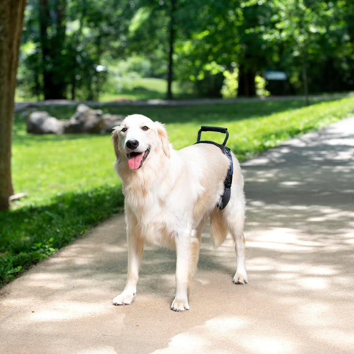 PetSafe CareLift Hüft-Hebegeschirr für Hunde, Hebehilfe mit Griff und Schultergurt zur Hüftunterstüt