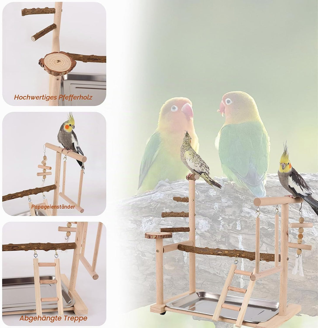 Papageien-Spielplatz, Vogelspielplatz für Papageien, Parrot Playstand Papagei Spielplatz mit Spielze
