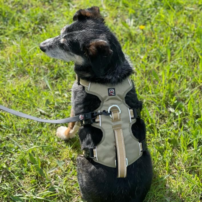 ELBA Sicherheitsgeschirr Hund ausbruchsicher – Verstellbares No-Pull Hundegeschirr gepolstert &amp; refl
