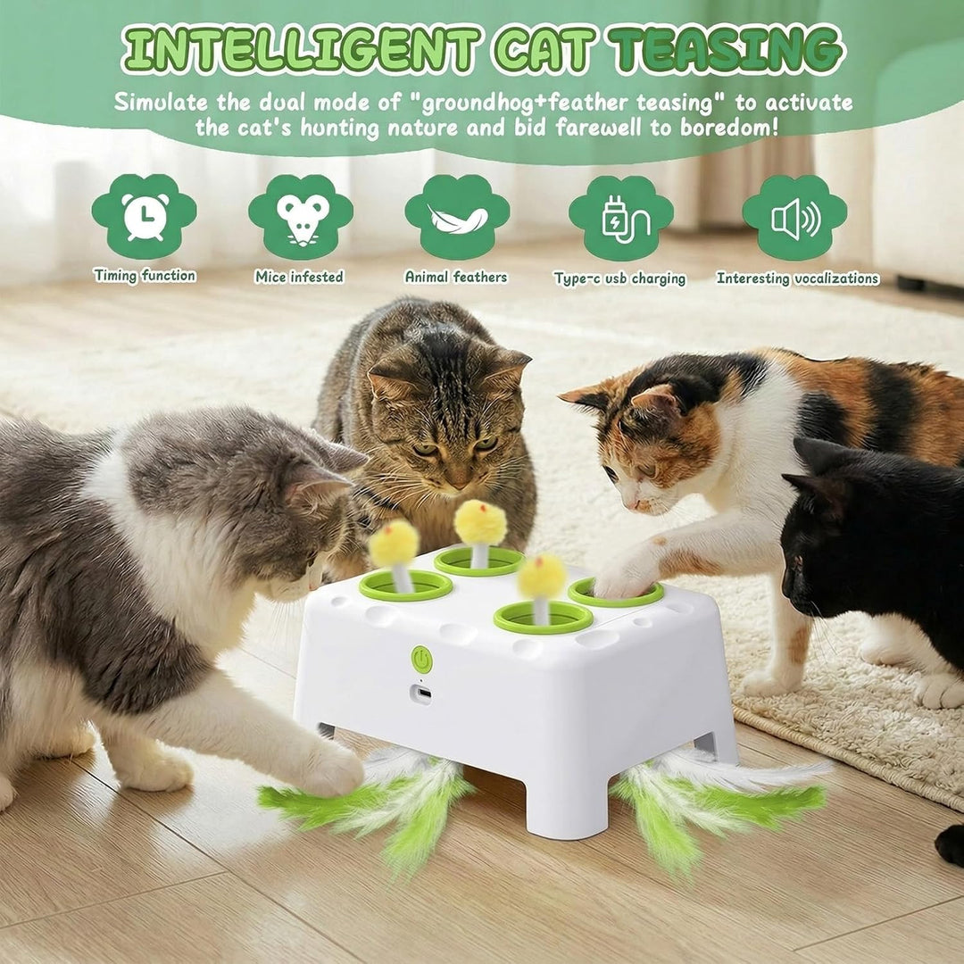 2-in-1 Automatisches Katzenspielzeug, Interaktives Katzenspielzeug, Wiederaufladbares Katzenmaus-Spi