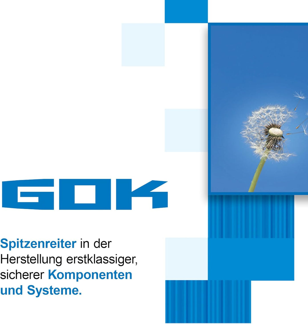 GOK Transportsicherung Trolley