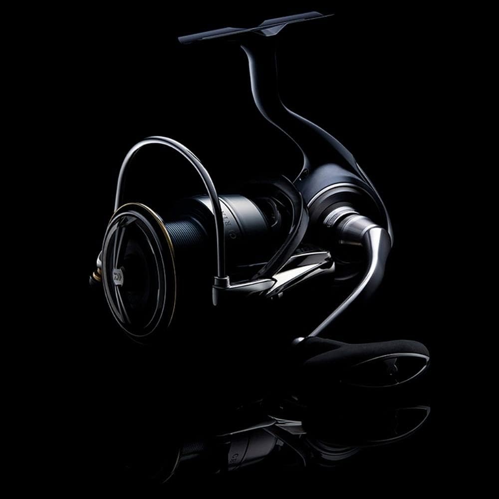 Daiwa Rolle Certate LT 19 Certate LT 19 2500D - 19CERGLT2500D Silber Schwarz 2500, Silber Schwarz 25