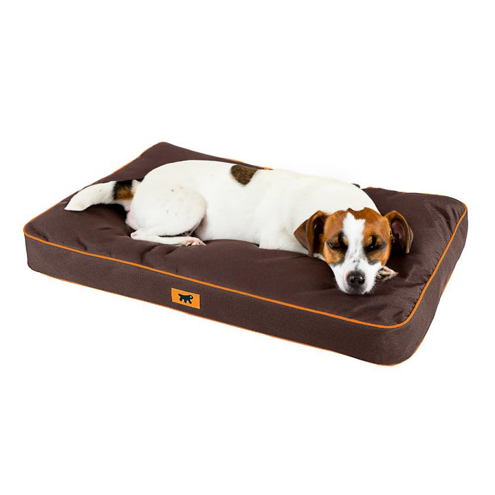 FERPLAST Hundematte & Katzenmatte Klein - Orthopädisches Hundebett - Hundebett Waschbar & Kratzfest
