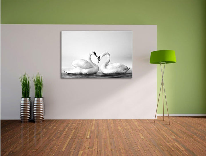 Pixxprint Zwei prächtige Schwäne auf dem Wasser Kunst B&W, Format: 100x70 auf Leinwand, 100x70