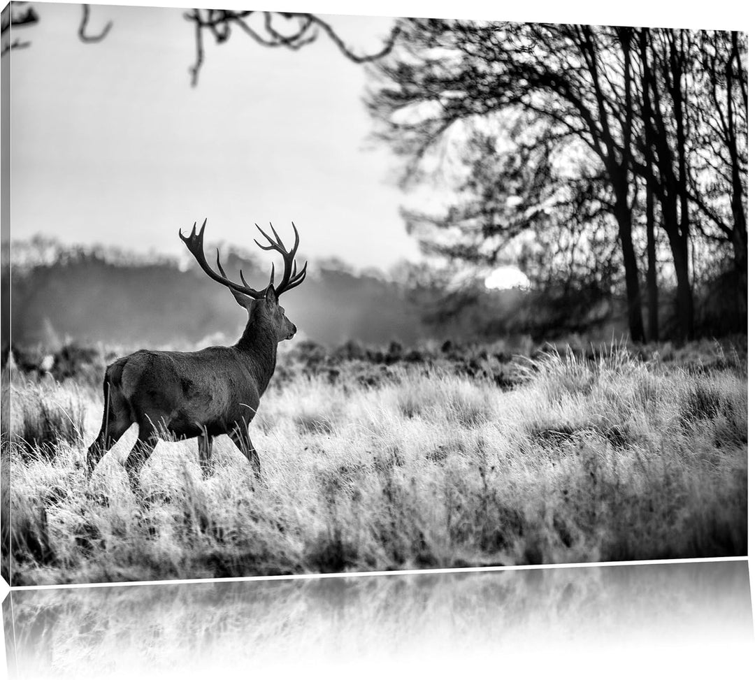Pixxprint Monocrome, Hirsch im Sonnenuntergang, Format: 100x70 auf Leinwand, 100x70