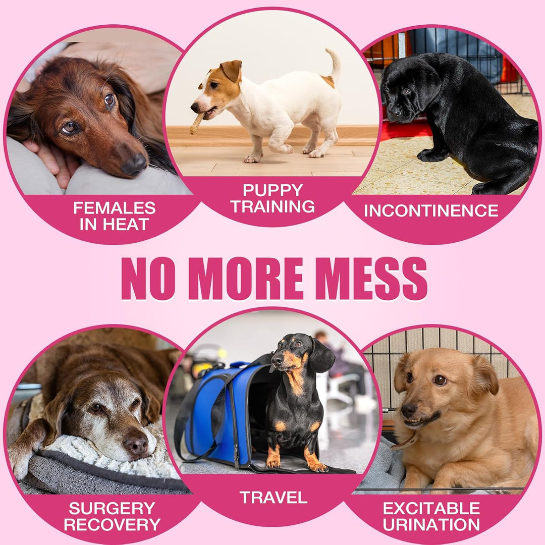 Dono Einweg-Hundewindeln, super saugfähige Hundewindeln, Flash Dry Gel Technology Welpenwindeln, aus