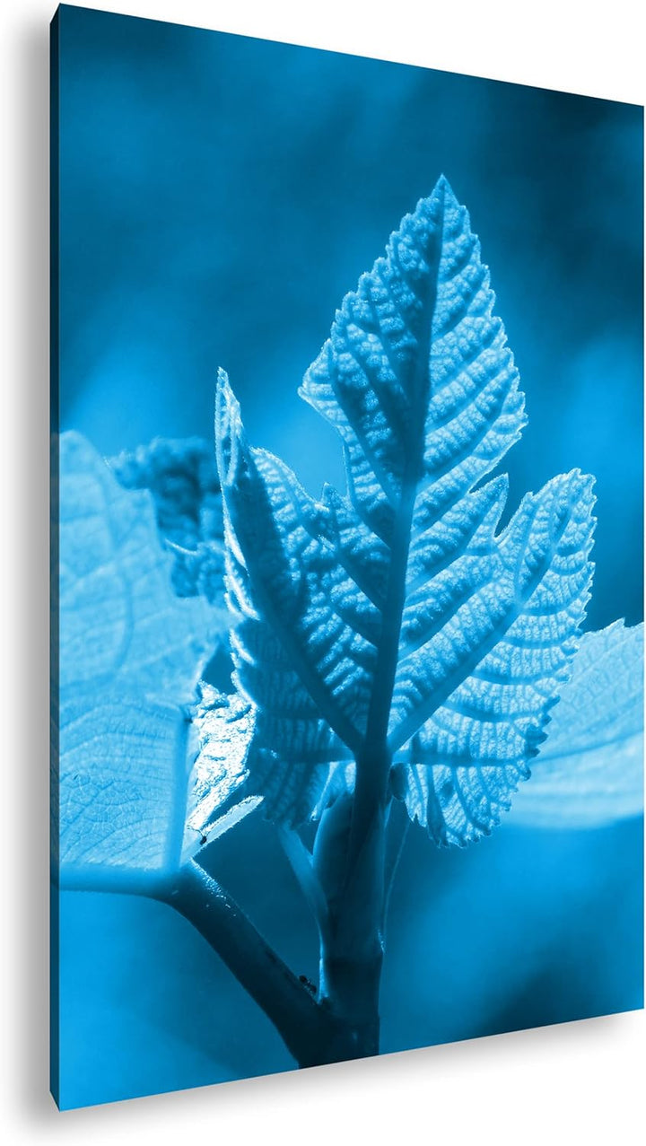 deyoli frischer Sprössling Format 80x60 Effekt: Monocrome Blau als Leinwandbild, Motiv fertig gerahm