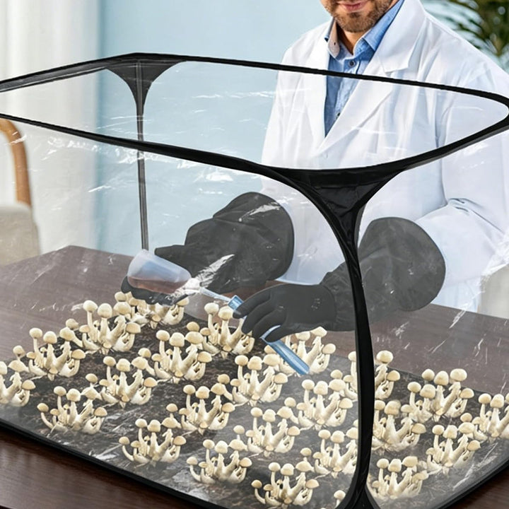 Sarini Mushroom Cultivation Still Air Box - Faltbare Transparente Pilz Wachsen Zelt Kit, Growing Kit