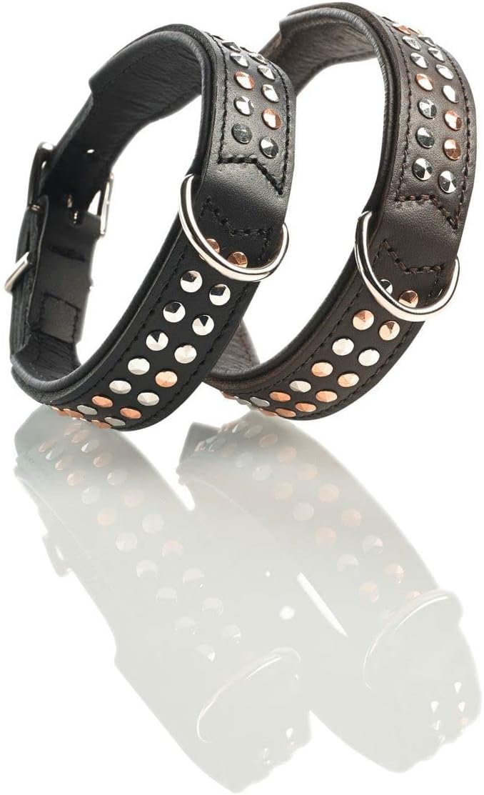 HUNTER SAN DIEGO Hundehalsband, Leder, geschmeidig, Nieten, 37 (XS-S), schwarz 37 (XS-S) schwarz, 37